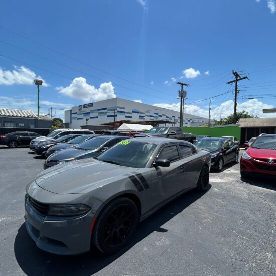 WhatsApp Image 2025-08-13 at 12.11.23 (1)