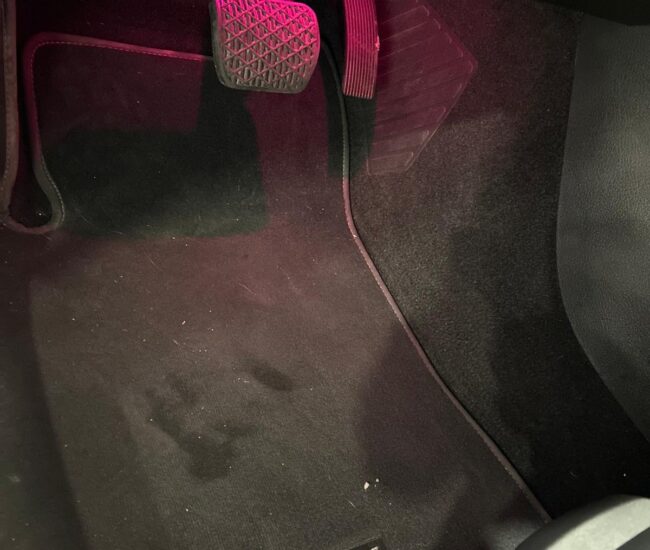 7a73287f-614d-4420-a7a7-4f3bd77dc781