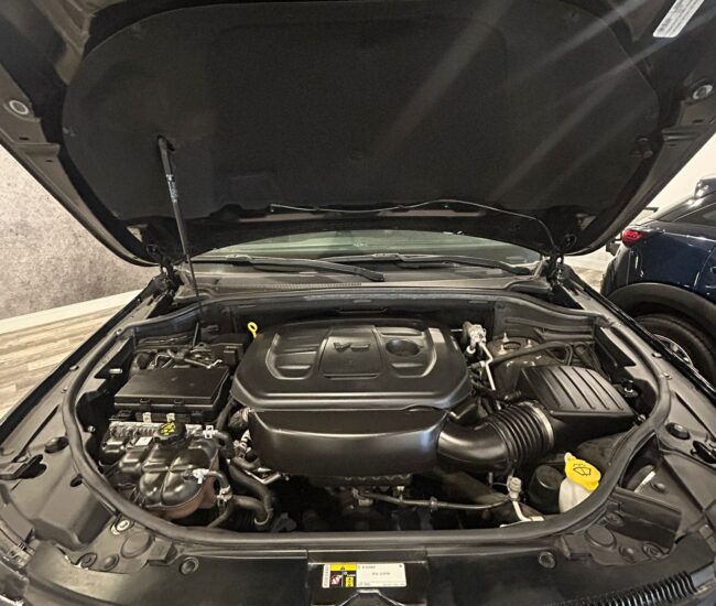 WhatsApp Image 2025-08-29 at 08.36.46 (5)