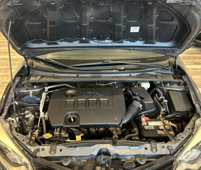 WhatsApp Image 2025-08-29 at 08.41.56 (1)