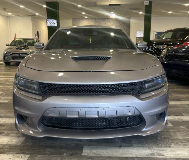 IMG_D53E8B73-97B7-473B-9D2E-9A39D81F1126